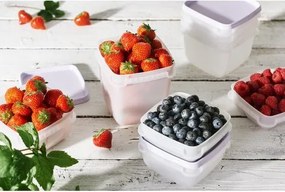 SmartStore Zestaw plastikowych pojemników Freezer 3 szt., lawenda, 1000 ml, 1000 ml