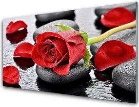 Szkło Ozdobne do Kuchni Królowa Ogrodów: Czerwona Róża