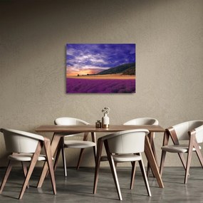 Obraz na szkle lawendowej łąki (70x50 cm)
