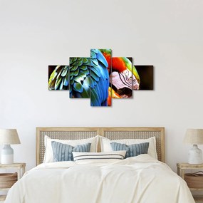 Obraz - Papuga (125x70 cm)