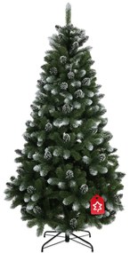 Sosna ośnieżona 180 cm