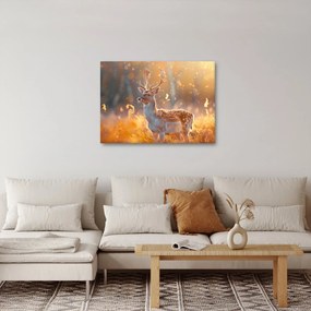 Obraz - Jeleń na polu (70x50 cm)