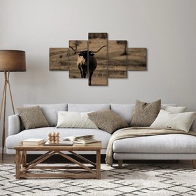 Obraz - Krowa z Teksasu (125x70 cm)