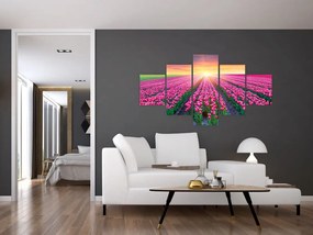 Obraz pole tulipanów ze słońcem (125x70 cm)