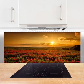 Panel Szklany Pole Maki Zachód Słońca Łąka