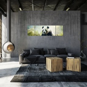 Obraz - Panda (170x50 cm)
