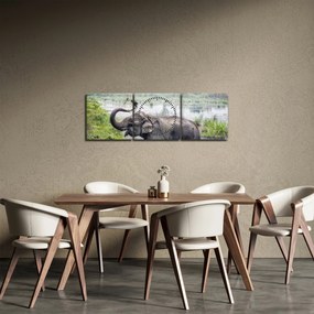 Obraz - Kąpiący się słoń (z zegarem) (90x30 cm)