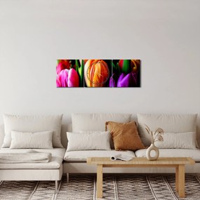 Obraz tulipanów na czarnym tle (z zegarem) (90x30 cm)