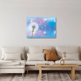 Obraz na szkle - Dmuchawiec na wietrze (70x50 cm)