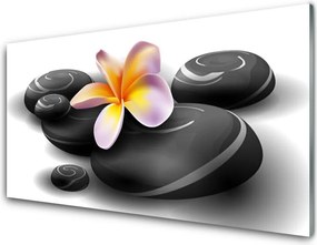 Szkło do Kuchni na Ścianę Kwiaty I Kamienie Zen