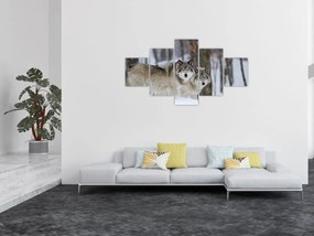 Obraz - Wilki zimą (125x70 cm)