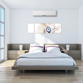 Obraz - Kotek (170x50 cm)