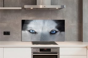 Szkło Ozdobne do Kuchni Przenikliwe Oczy Wilka