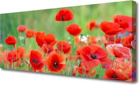 Zdjęcie na płótnie Polne Kwiaty w Słońcu