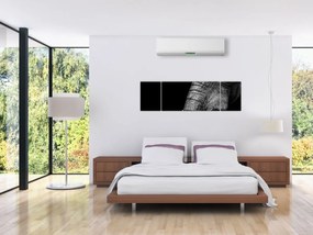 Obraz - Kły słonia (170x50 cm)