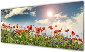 Panel Szklany Letnia Łąka w Blasku Dnia