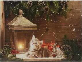 Obraz LED na ścianę "Kot przed latarnią", 30 x 40 cm