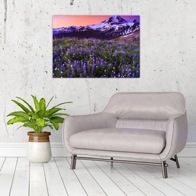 Obraz - Wulkan i kwiaty (70x50 cm)