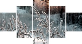 Obraz - Frozen Meadow (125x70 cm)