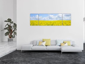 Obraz żółtego pola (170x50 cm)