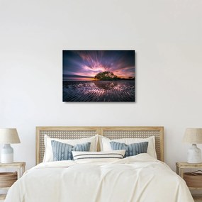 Obraz na szkle - drzewo na plaży (70x50 cm)