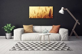 Obraz canvas Kłosy Pszenicy na Wietrze