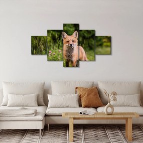 Obraz lisa (125x70 cm)