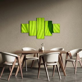 Obraz - Szczegół zielonego liścia (125x70 cm)
