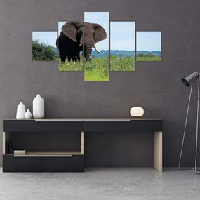 Obraz słonia (125x70 cm)