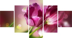 Obraz różowych tulipanów (125x70 cm)
