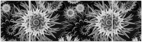 Obraz - Czarne i białe osty (170x50 cm)