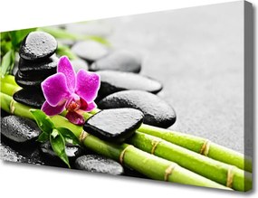 Obraz na płótnie Egzotyczna Harmonia Spa