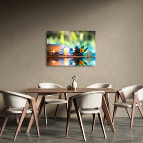 Obraz na szkle - Relaks (70x50 cm)