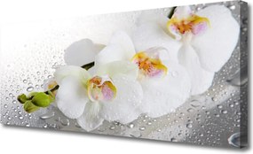 Zdjęcie na płótnie Wiosenny Powiew Natury