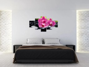 Obraz - Różowe orchidee z liściem palmy (125x70 cm)