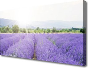 Obraz canvas Zapach Lawendowej Polany