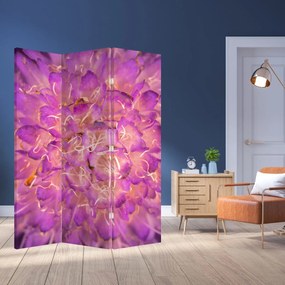 Parawan - Szczegół kwiatu (126x170 cm)