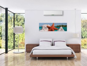 Obraz rozgwiazdy (170x50 cm)