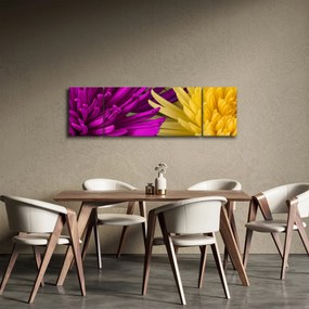 Obraz - szczegóły kwiatów (170x50 cm)