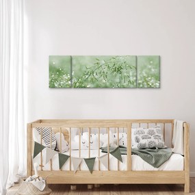 Obraz - Poranna rosa na źdźbłach trawy (170x50 cm)