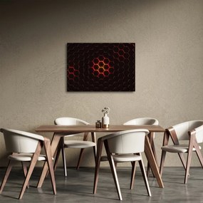 Obraz siatki (70x50 cm)