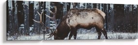 Obraz - jeleń zimą (170x50 cm)