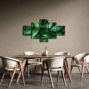 Obraz - Zielone liście (125x70 cm)