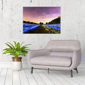 Obraz na szkle - kolorowe pole (70x50 cm)