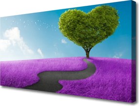 Duży obraz na płótnie Ścieżka przez Letnią Polanę