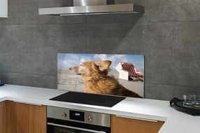 Szklany Panel Pies na Nadmorskiej Plaży