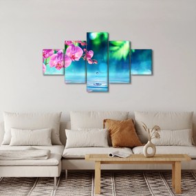 Obraz - Orchidea (125x70 cm)