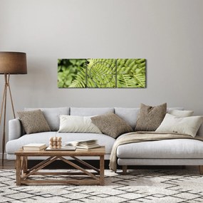 Obraz - Liść paproci (z zegarem) (90x30 cm)