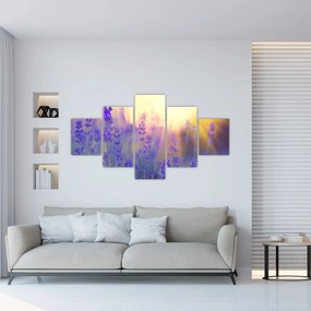 Obraz - Lawenda (125x70 cm)