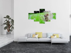 Obraz dmuchawca (125x70 cm)